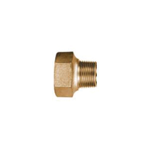 FORD C08-44-NL C08 Coupling, 1 in Nominal, Female C Thread x MNPT End Style, Brass