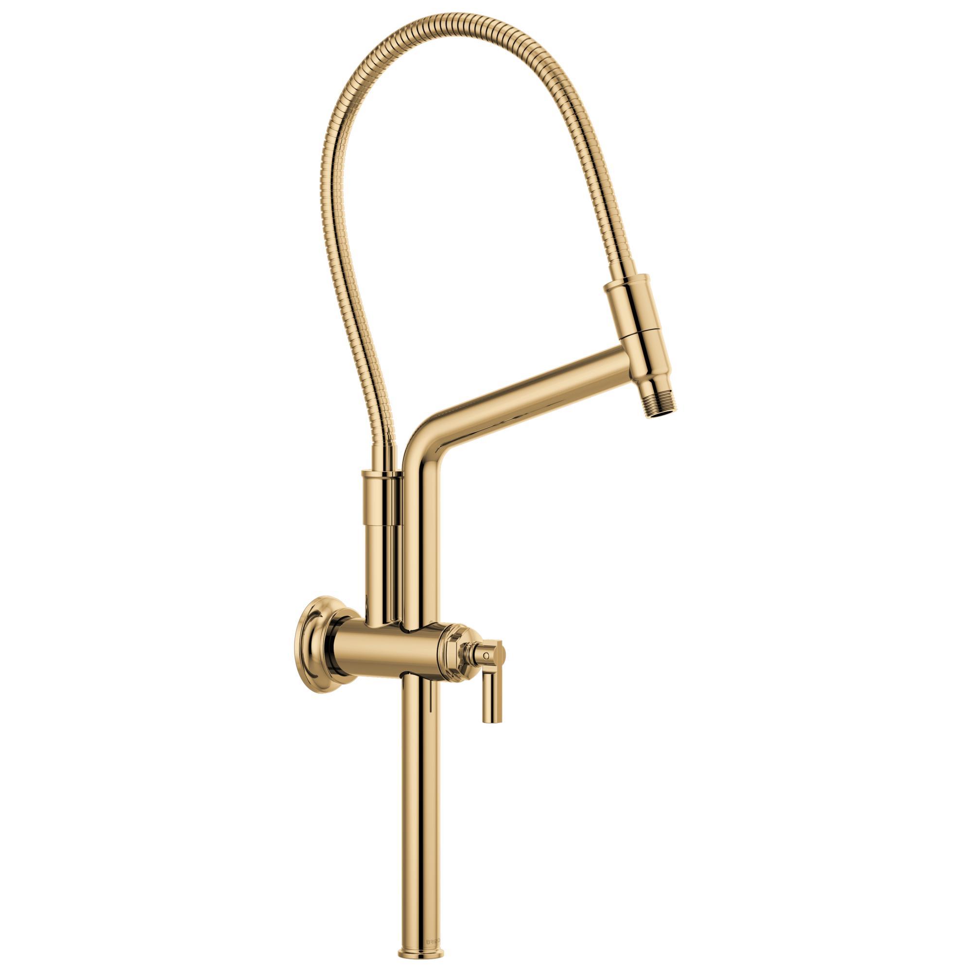 Brizo® 81376-PG Invari™ Slide Bar Shower Arm and Flange, 10-7/16 in L, 1/2 in NPT, Import