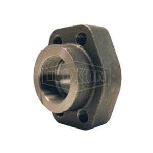 Carbon Steel Threaded Flanges Image