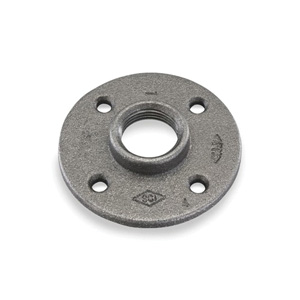 Malleable Iron Threaded Flanges Image