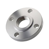 SS Threaded Flanges Image