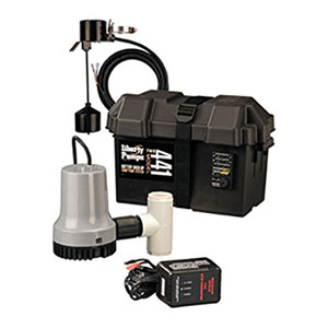 Battery Backup Sump Pumps Image