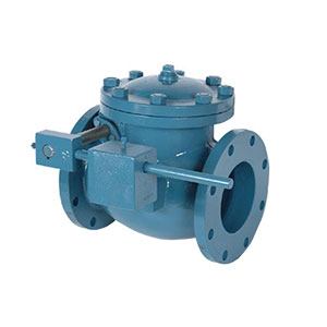 Check Valves Image