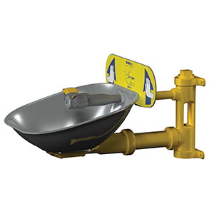 Emergency Eyewash Stations Image