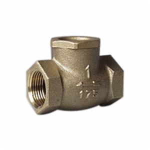 Fppi&reg; 06-864-00 Swing Check Valve, 1 in
