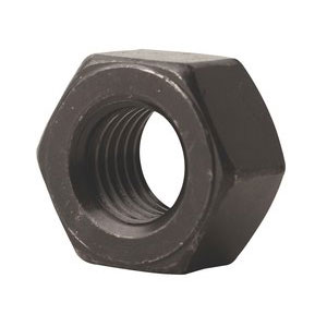 Nuts Image