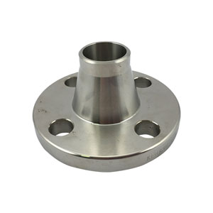 SS Weld Neck Flanges Image