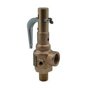 Safety Valves Image