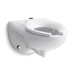 Wall Hung Toilets Image