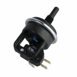 Lochinvar® 100166256
