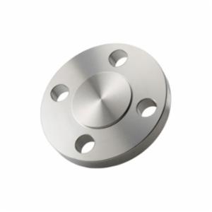 2 in Stainless Steel 150Lb 304L Blind Flange Gs