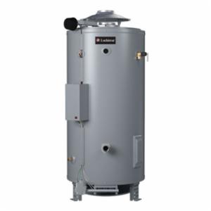 Lochinvar&reg; CGN199100 100137110
