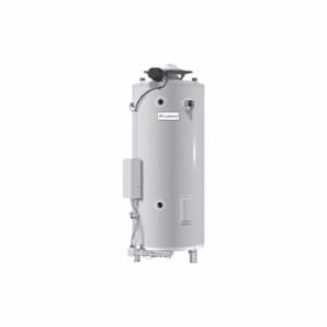 Lochinvar&reg; CGN500085A CGN