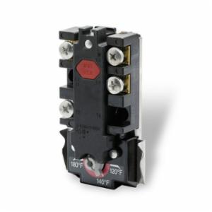 Lochinvar&reg; 100109920