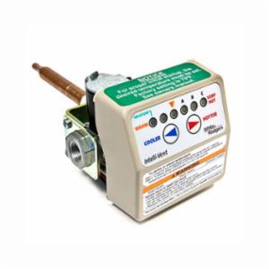 Lochinvar&reg; 100110776