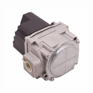 Lochinvar&reg; 100110857