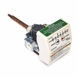 Lochinvar&reg; 100110775