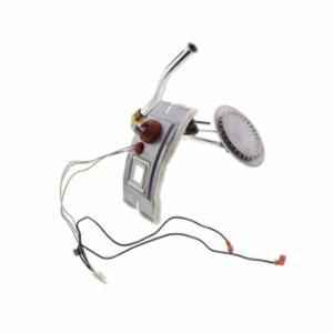 Lochinvar&reg; 100110754