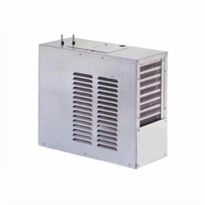 Elkay&reg; ERS11Y