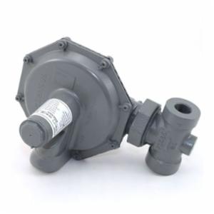 SENSUS 496 1/8 ORIFICE
