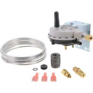 Lochinvar® 100166248