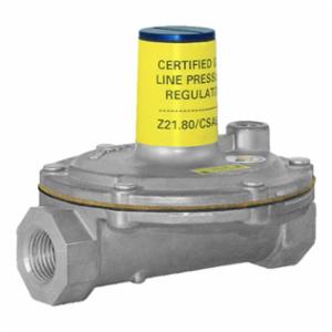 Maxitrol 1 in Regulator With Vent Limiter 325-5-1-12A39