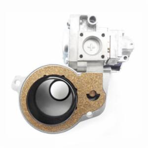 Lochinvar&reg; 100171949