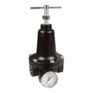 Watts by Dixon® R119-08CG