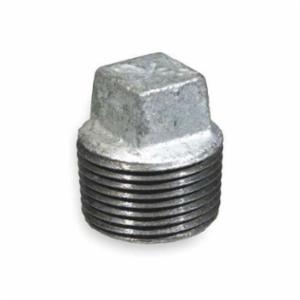 1 in Galvanized Reg Plug Gs