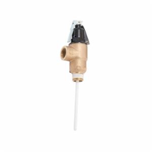 Lochinvar&reg; 100110714