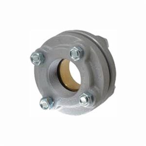 Legend 301-119Nl Flanged Dielectric Union, 2-1/2 in