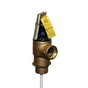 Apollo&trade; 18C5113125 Relief Valve, 3/4 in