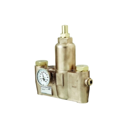 Bradley&reg; Efx60 S19-2200 Thermostatic Mixing Valve, 1 x 1-1/4 in