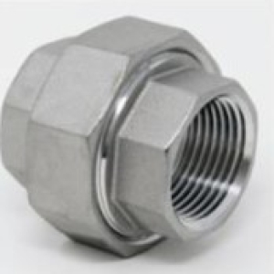 2-1/2 in Stainless Steel 150Lb 304L Union Gs