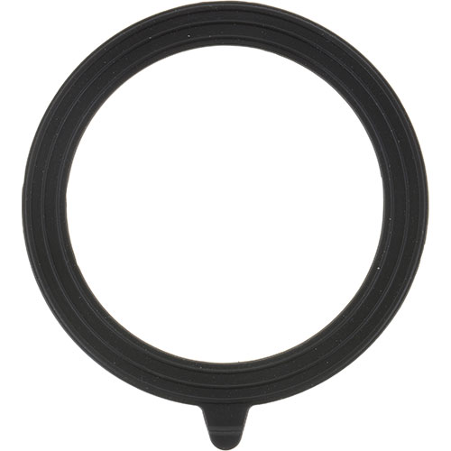 Lochinvar&reg; 100233594