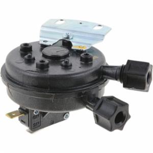 Lochinvar® 100208379