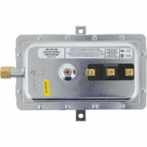 Lochinvar® 100208399