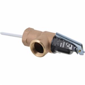 Lochinvar&reg; 100208453
