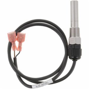 Lochinvar&reg; 100208553