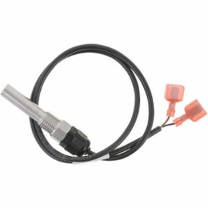 Lochinvar&reg; 100208548