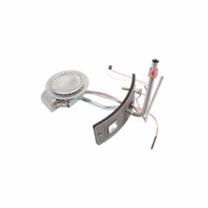 Lochinvar&reg; 100112274