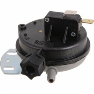 Lochinvar® 100208383
