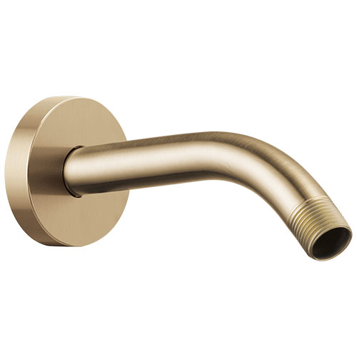 Brizo&reg; RP74751GL