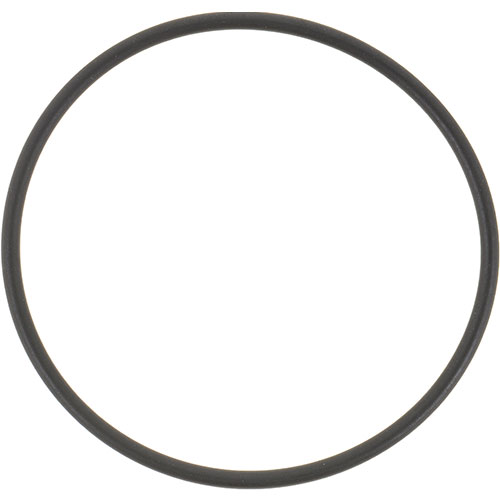 Lochinvar&reg; 100208761