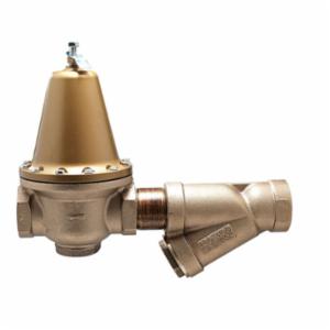 WATTS&reg; 0298617