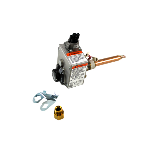 Lochinvar® 100170417
