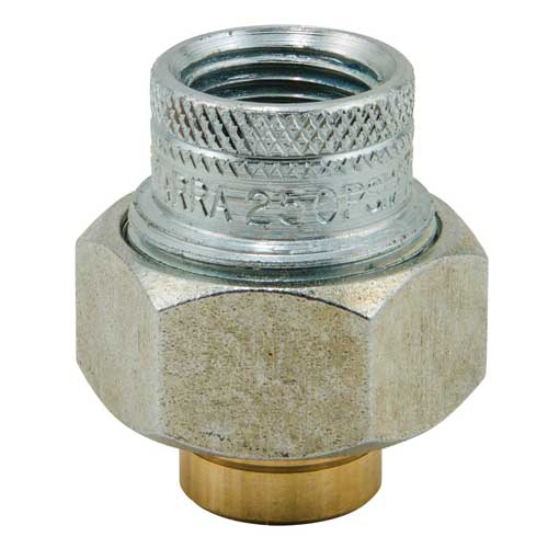 Watts&reg; 0009873 Dielectric Union, 1 in