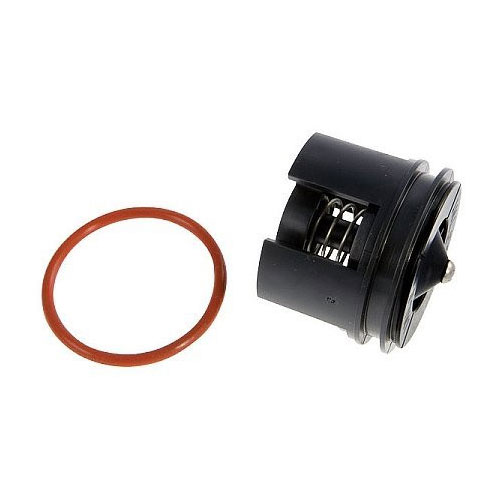 Febco&reg; 905351
