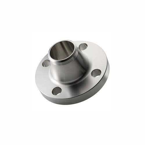 12 in Stainless Steel 304L Raised Face Weld Neck Flange Gs