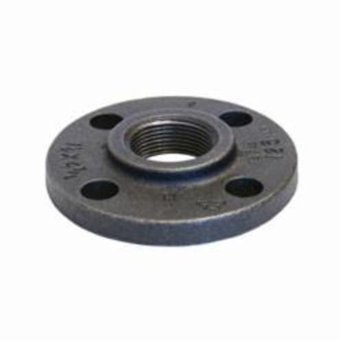 12 in Black Cast Iron Companion Flange